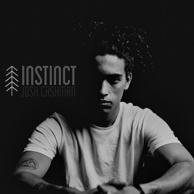 Instinct album cover