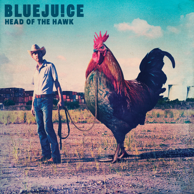 Head of The Hawk album cover