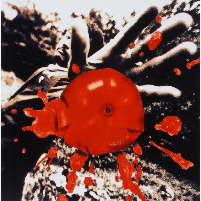 孤独の太陽 album cover