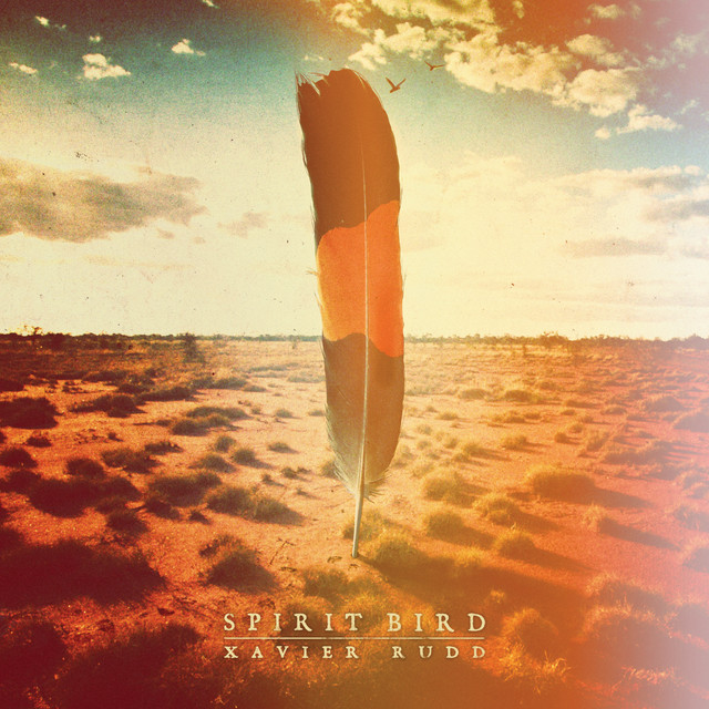 Spirit Bird album cover
