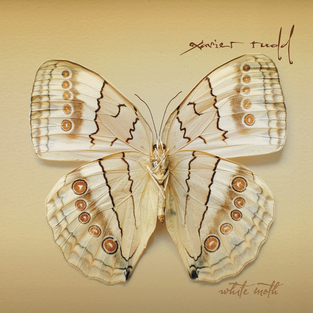 White Moth album cover