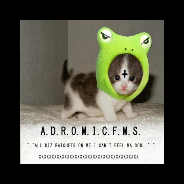 A.D.R.O.M.I.C.F.M.S. 1 album cover