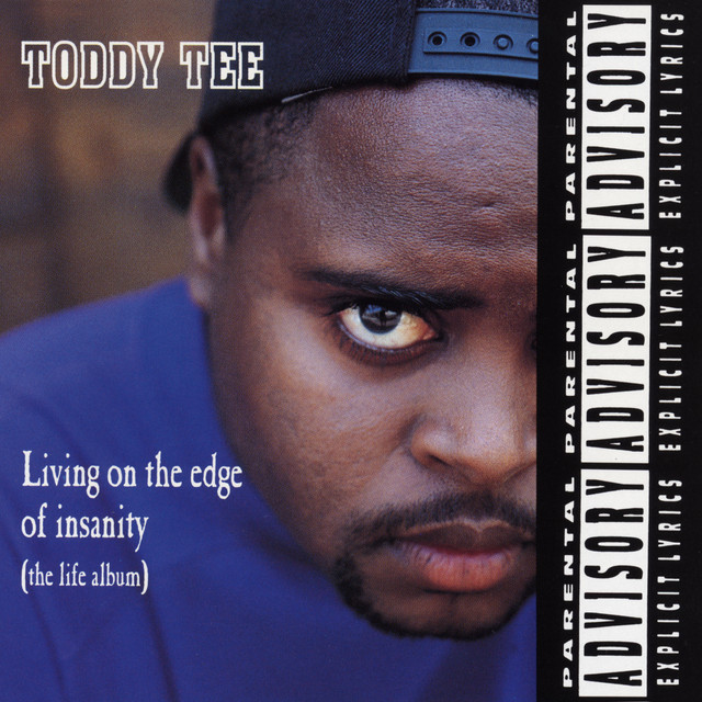Living on the Edge of Insanity (The Life Album) album cover