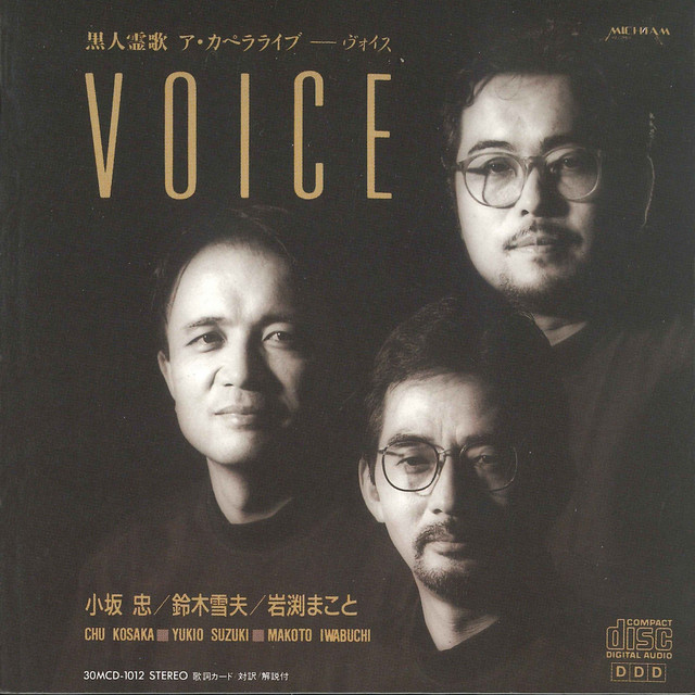 VOICE album cover
