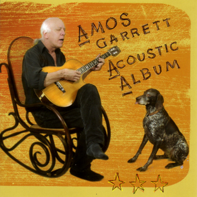 Acoustic Album album cover