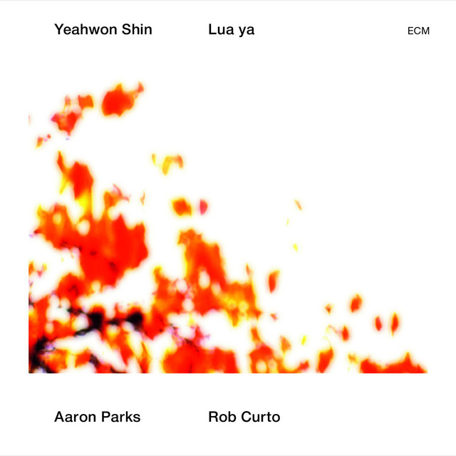 Lua Ya album cover