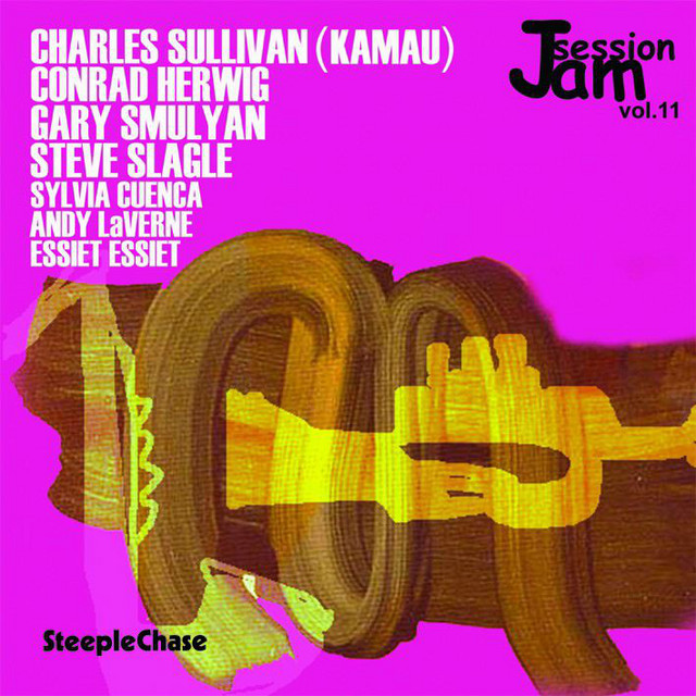 Jam Session Vol. 11 album cover