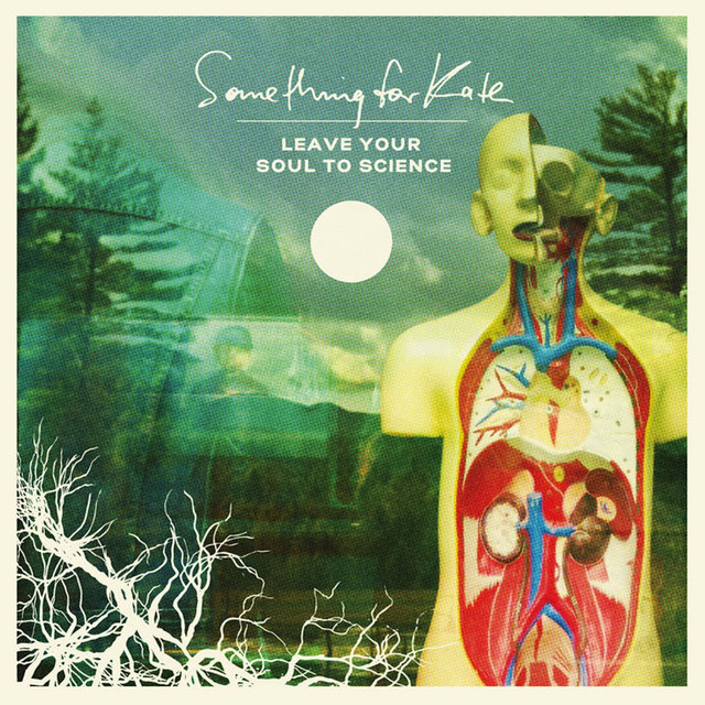 Leave Your Soul to Science album cover