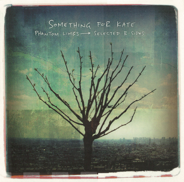 Phantom Limbs album cover