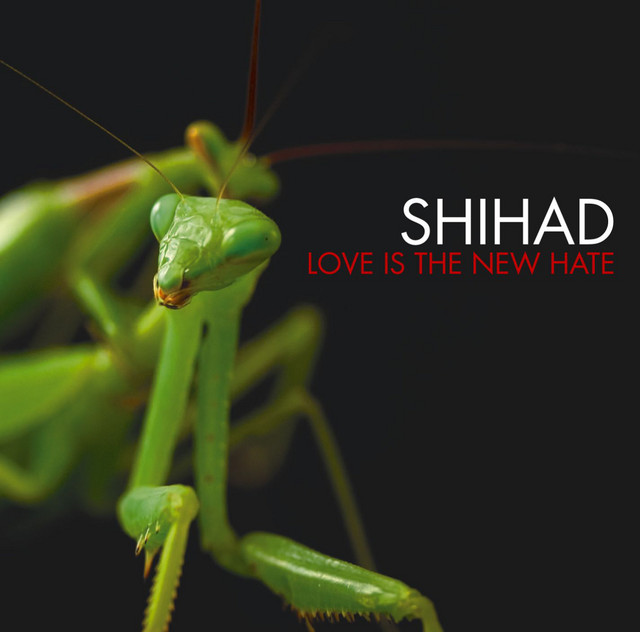 Love Is The New Hate album cover