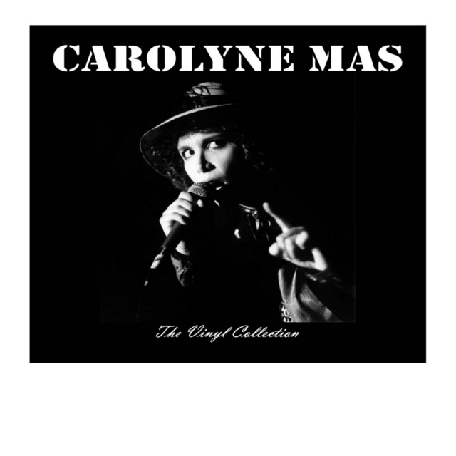 The Vinyl Collection album cover