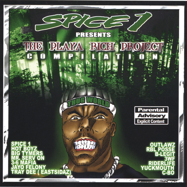 The Playa Rich Project Compilation album cover
