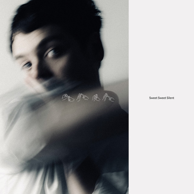 Sweet Sweet Silent (Album Commentary) album cover