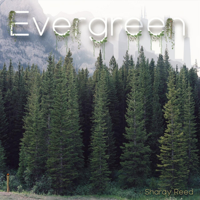 Evergreen album cover