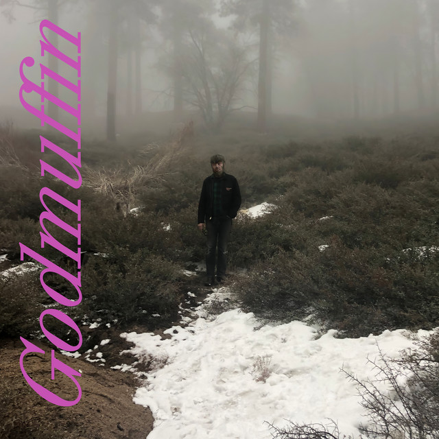 Godmuffin album cover