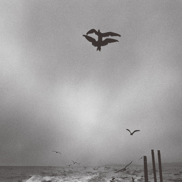 Saunter album cover