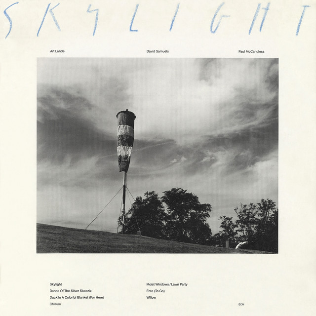 Skylight album cover