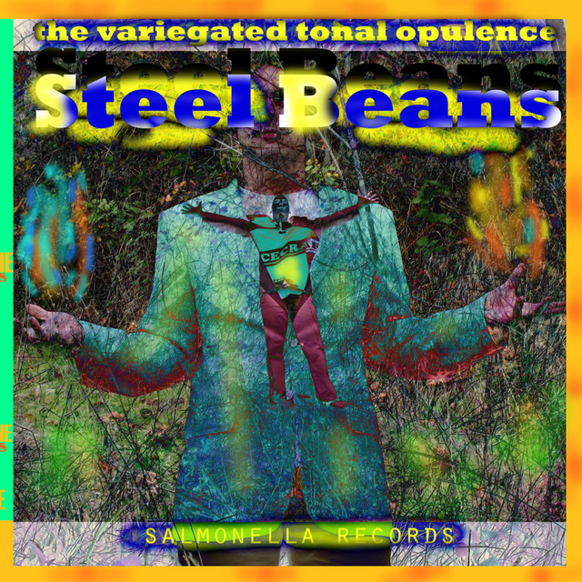 The Variegated Tonal Opulence album cover