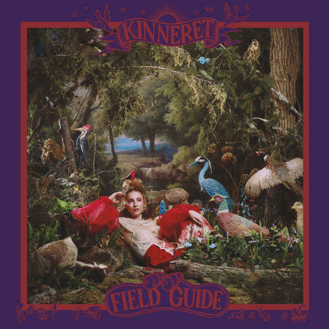 Field Guide album cover