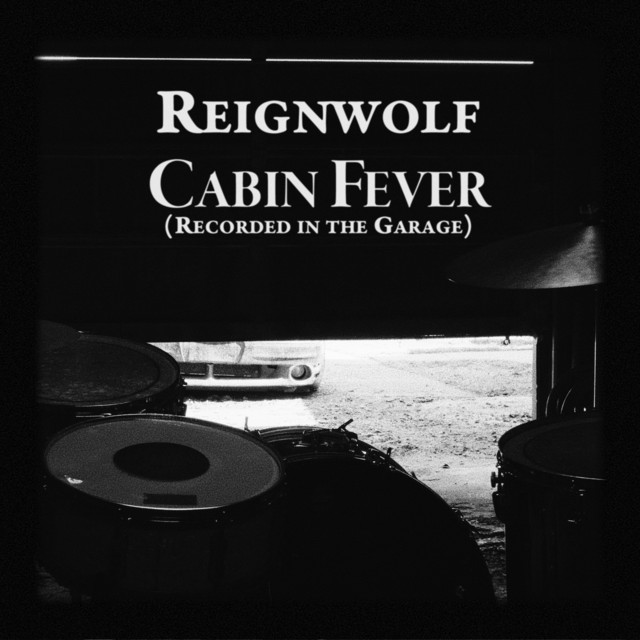 Gibson Firebird Vintage as heard on Cabin Fever (Garage Recording) by Reignwolf (2020)