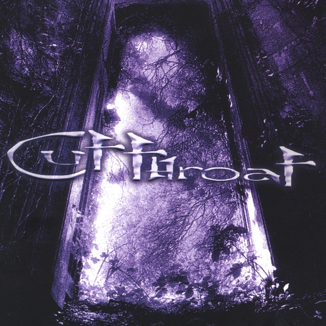 ST Debut album cover