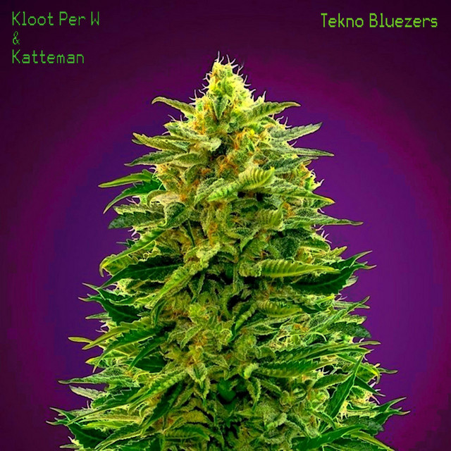 Tekno Bluezers album cover