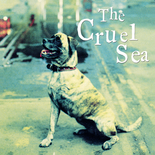 Three Legged Dog album cover