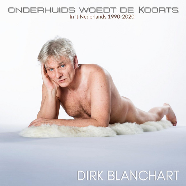 Onderhuids woedt de koorts: In 't Nederlands 1990-2020 album cover