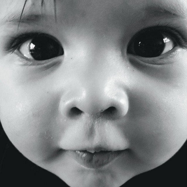 The Early Years album cover