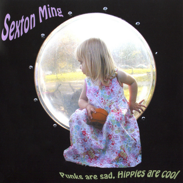 Punks Are Sad, Hippies Are Cool album cover
