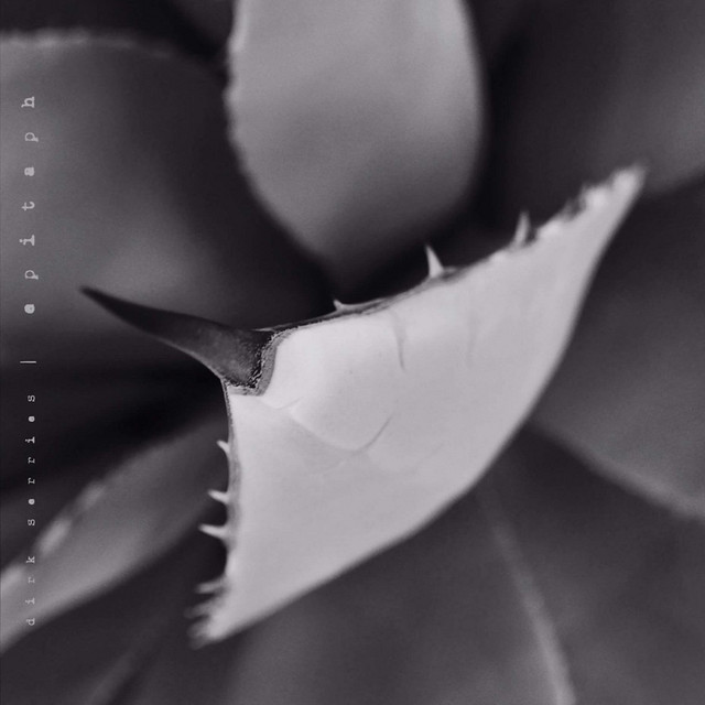 Epitaph album cover