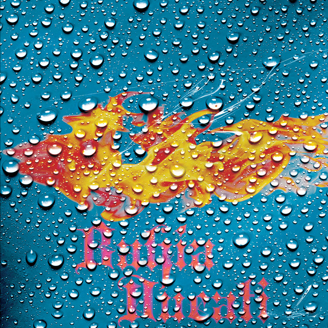 BAHÍA DUCATI album cover