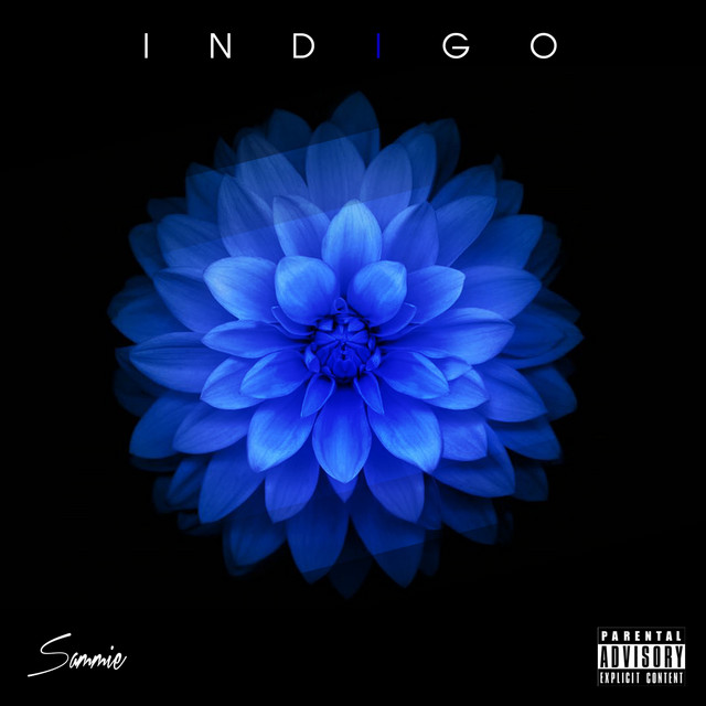 Indigo album cover
