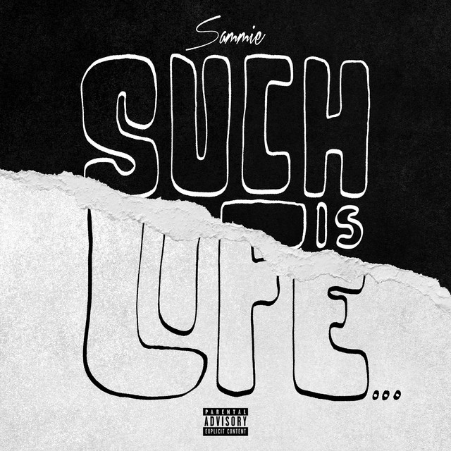 Such Is Life... album cover