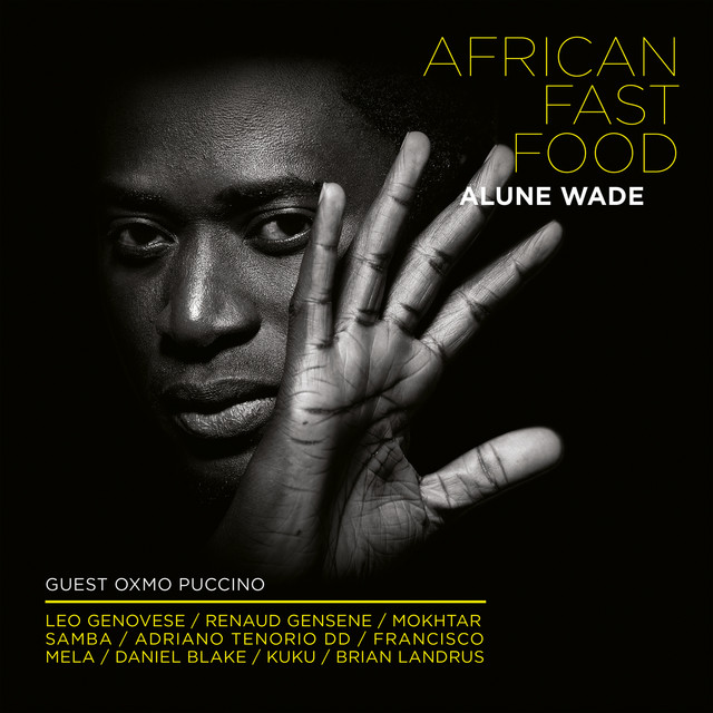 African Fast Food album cover