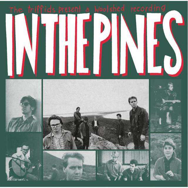 In the Pines album cover