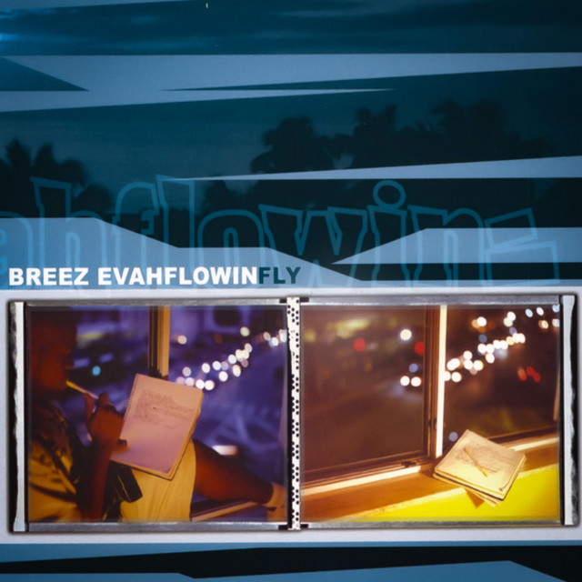 FLY album cover