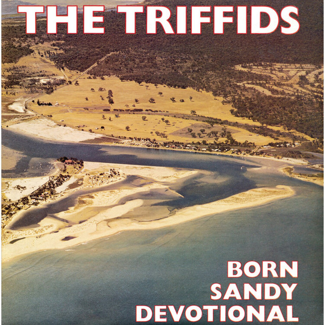 Born Sandy Devotional album cover