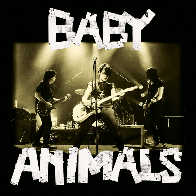 Baby Animals Live album cover