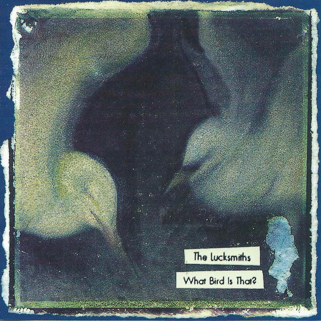 What Bird Is That? album cover
