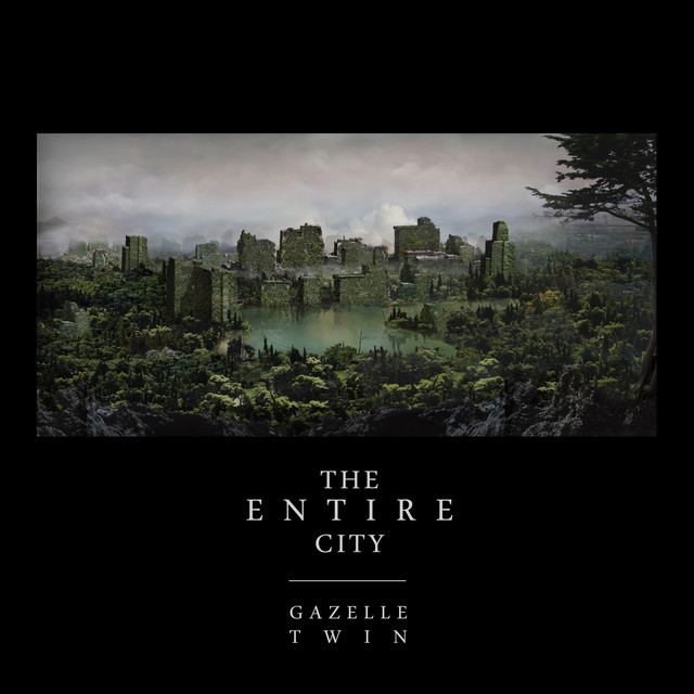 The Entire City album cover