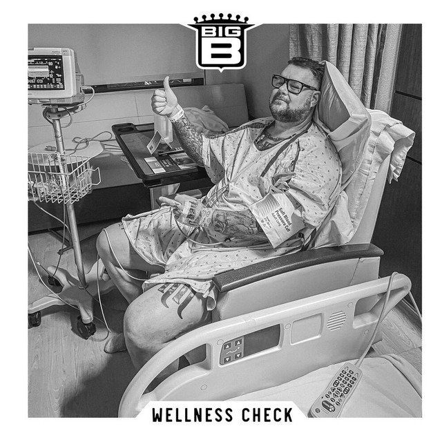 Wellness Check album cover