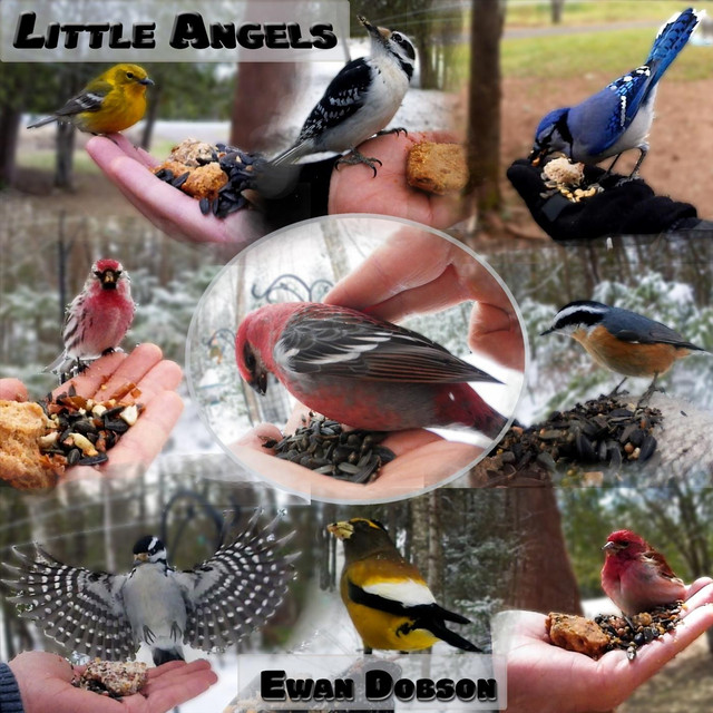Little Angels album cover