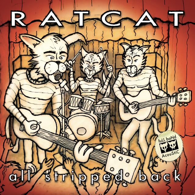 All Stripped Back album cover