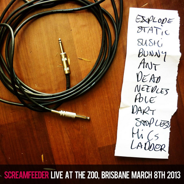 Live At the Zoo (Brisbane, March 8th 2013) album cover