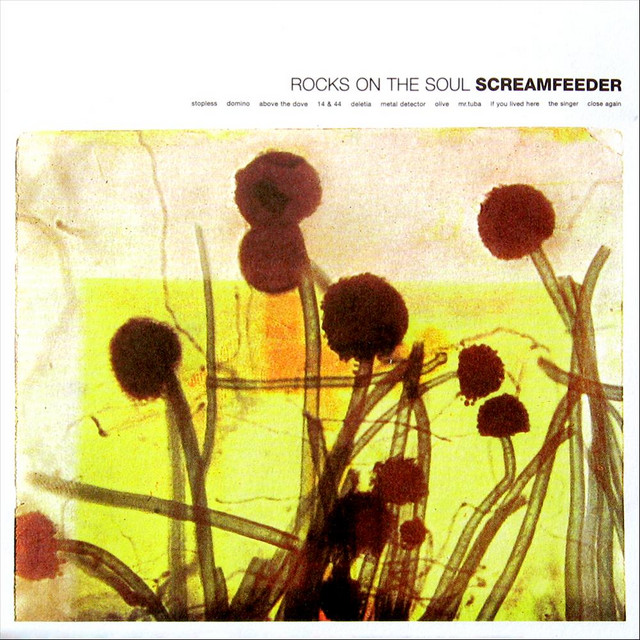 Rocks On the Soul album cover