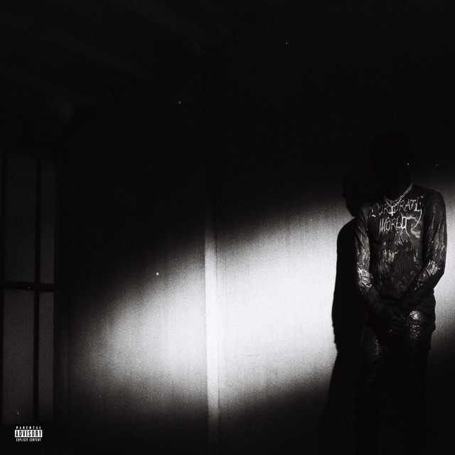 NO STYLIST album cover