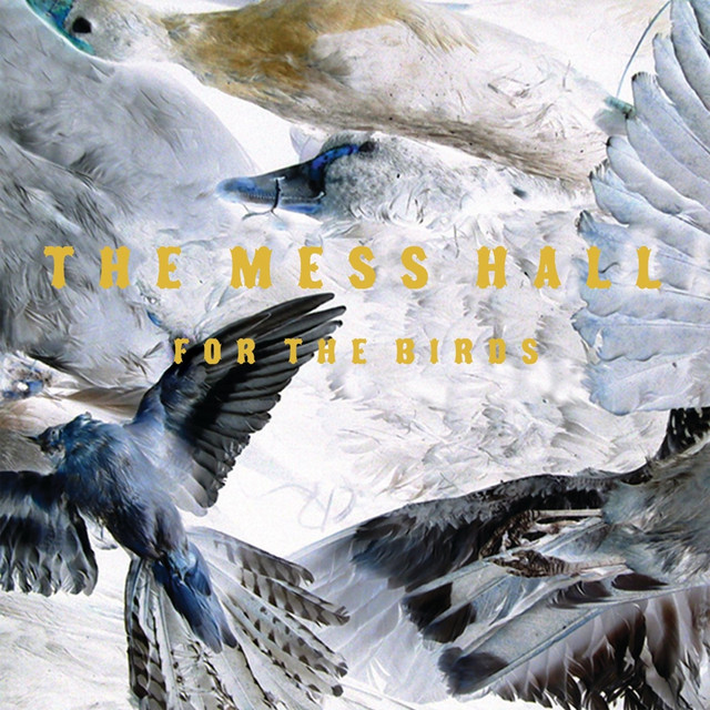 For The Birds album cover