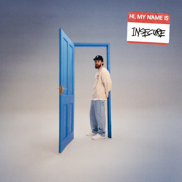 hi, my name is insecure. album cover