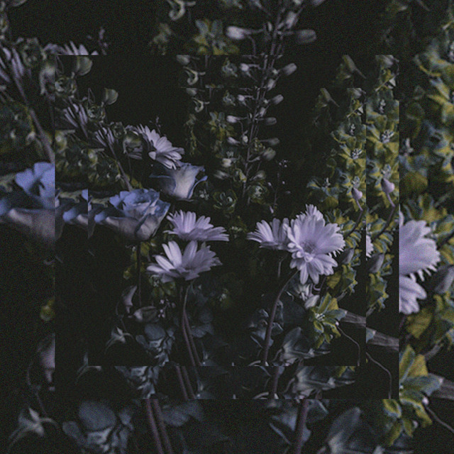 It's Beautiful. album cover